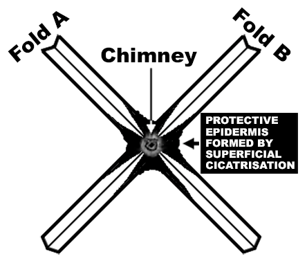 Circular folds with invisible sections