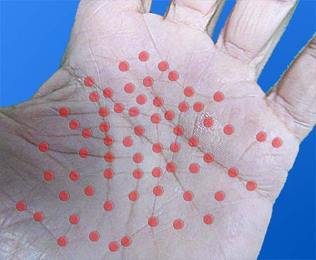 Fold crossings on the palm