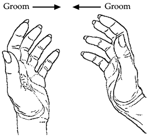 Grooming with your right or left hand