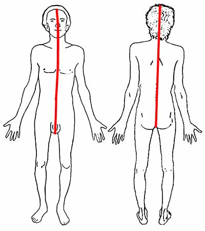 The vertical center fold