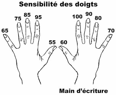 La sensibilité des doigts