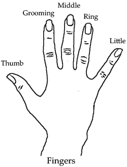 Grooming fingers