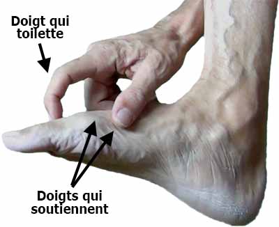 Certains doigts s'agrippent, un autre toilette
