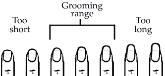 The grooming range