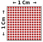 Nocicepteurs pas cm2 de peau