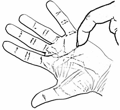 Opening cutaneous folds in the palm