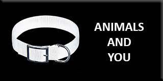 Animals and you