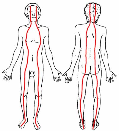 The vertical quarter folds