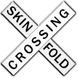 Railroad/Skin crossing sign
