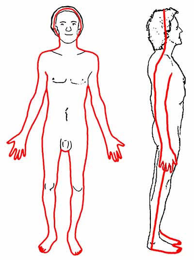 The vertical front/back fold
