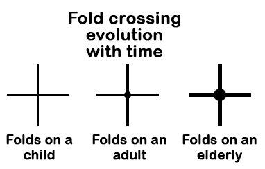 Fold crossing evolution with time