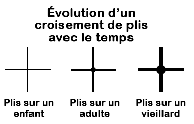 Évolution d'un croisement de plis avec le temps