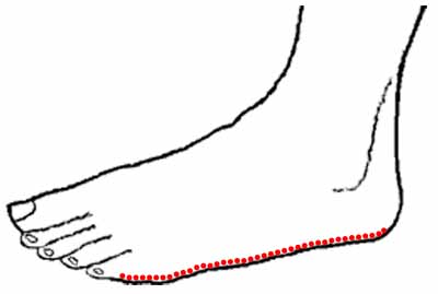 Standing posture fold
