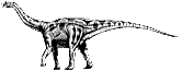 Apatosaurus