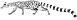 Miacid