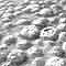 Stromatolites