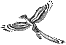Archaeopteryx