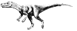 Herrerasaurus