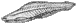 Haikouichthys