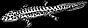 Acanthostega