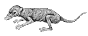 Megazostrodon