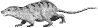Eomaia