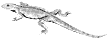 Hylonomus