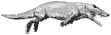 Ambulocetus