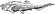 Placoderms