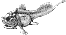 Materpiscis