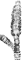 Bangiomorpha